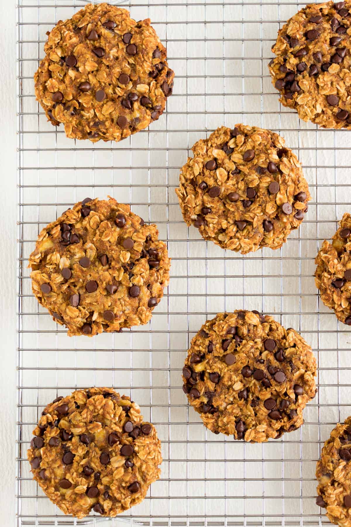 pumpkin chocolate chip oatmeal cookies on top of a metal cooling rack