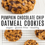 pumpkin chocolate chip oatmeal cookies