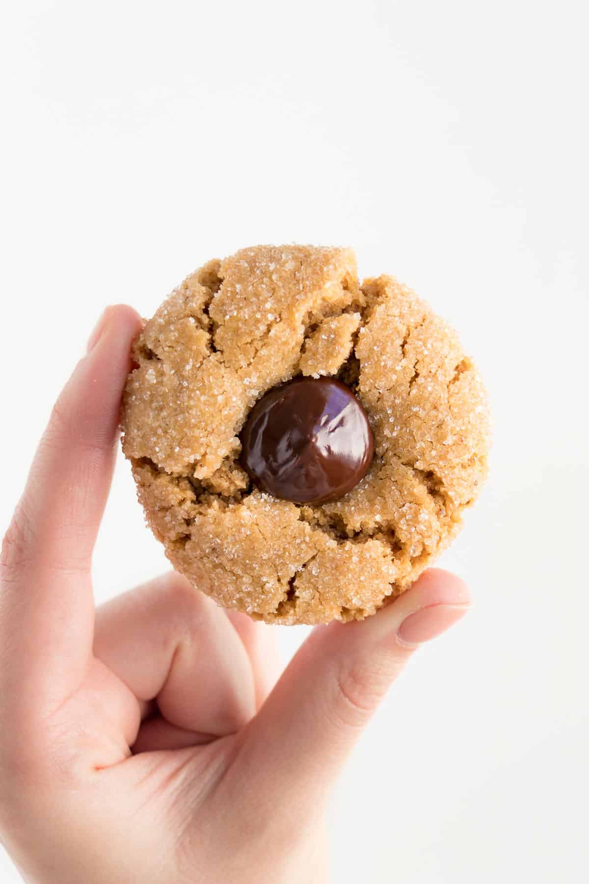 hand holding a vegan peanut butter blossom cookie