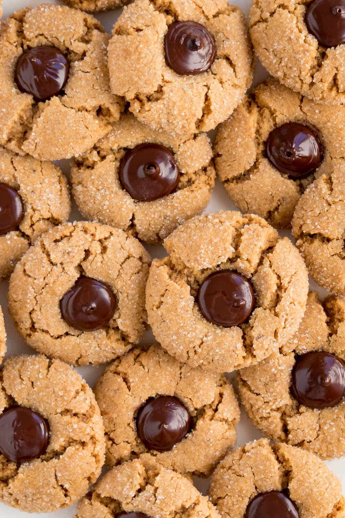 close up image of vegan peanut butter blossoms