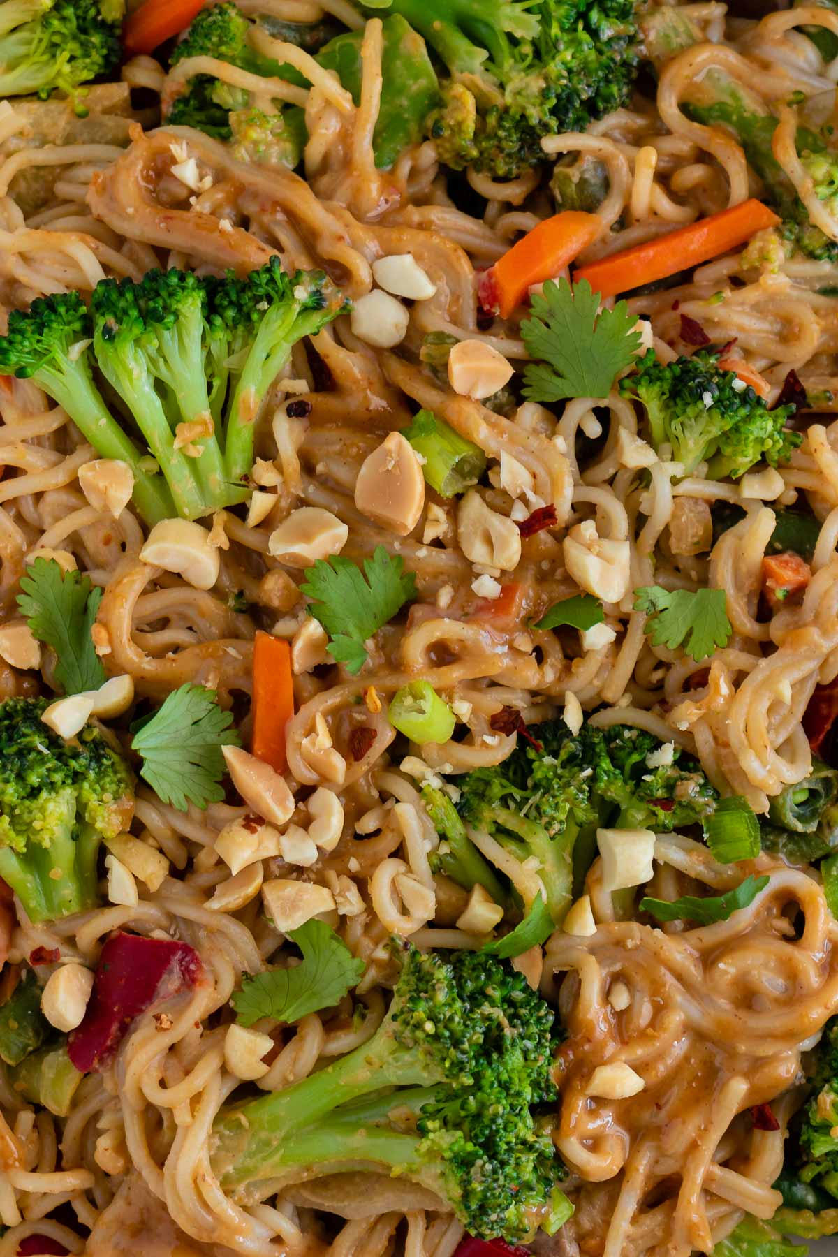 close up of vegan thai peanut noodles mixed with broccoli, peppers, carrots, and peas