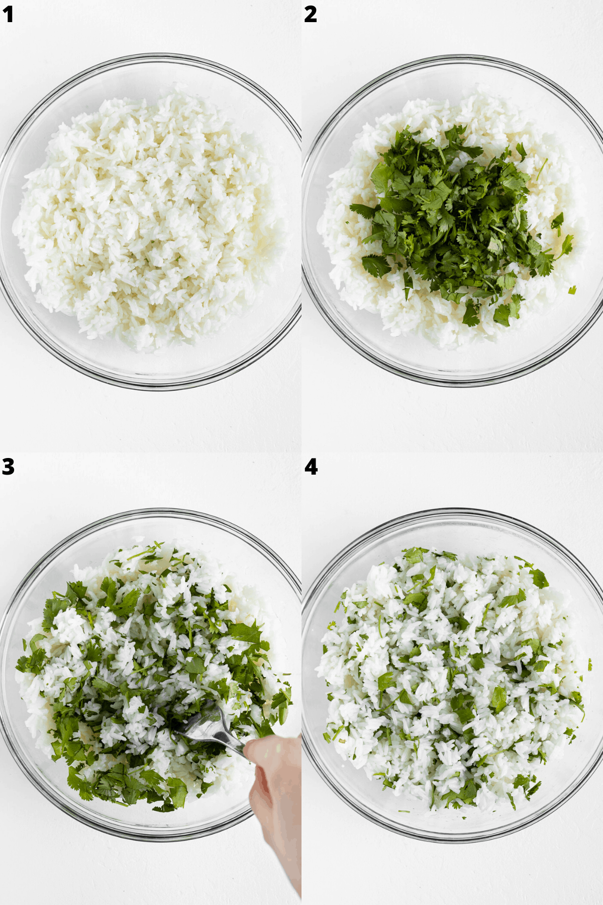 a four step collage combining cilantro with white rice to prepare cilantro lime rice