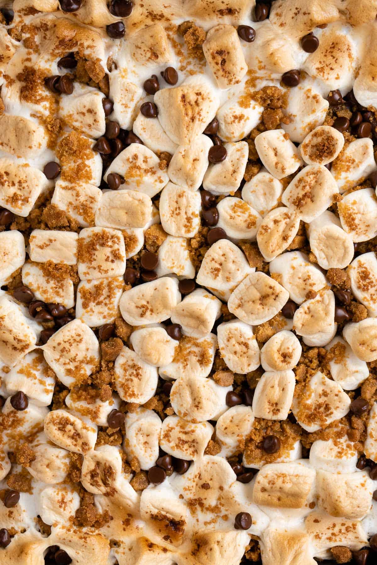 toasted marshmallows, chocolate chips, and graham cracker crumbs