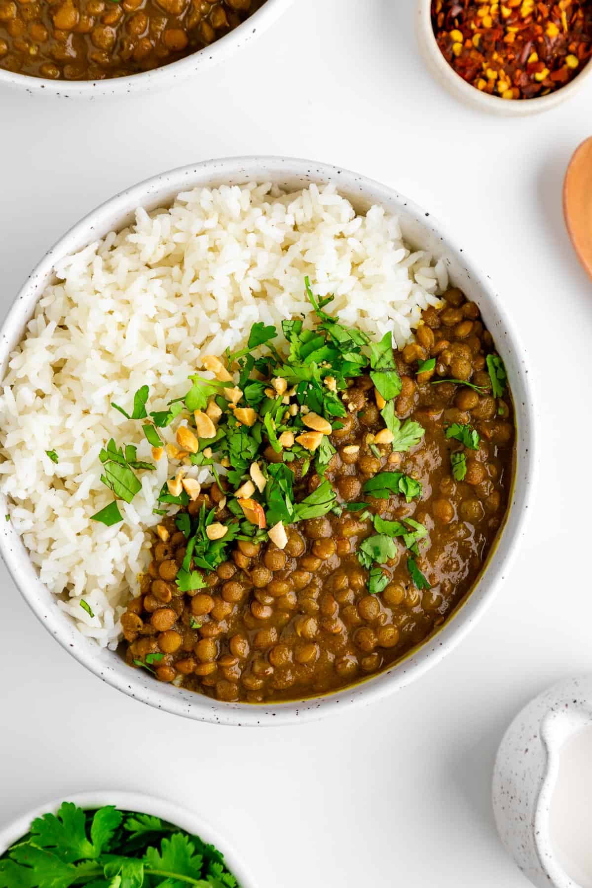vegan slow cooker lentil curry with rice inside a bowl