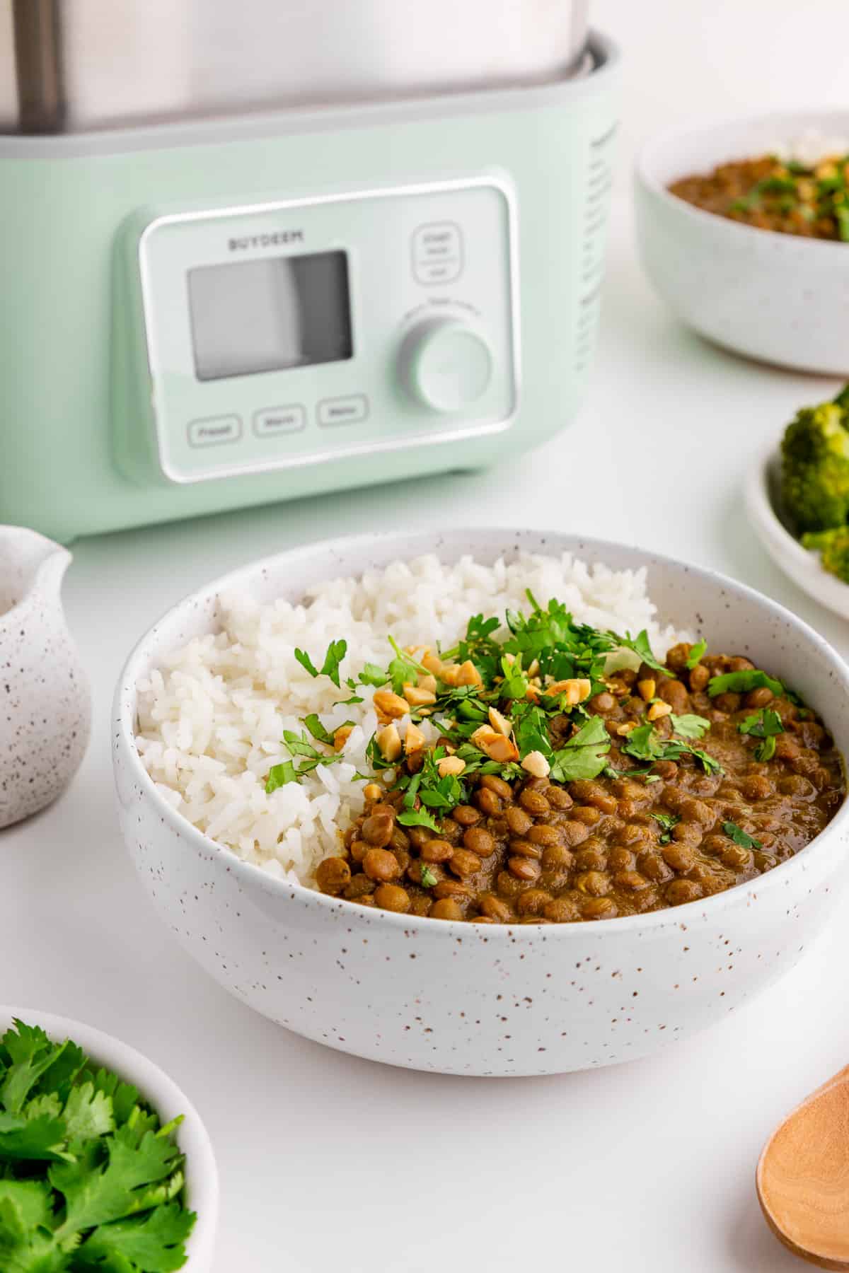 a bowl of slow cooker lentil curry and rice beside the Buydeem two-tier all-in-one intelligent food steamer